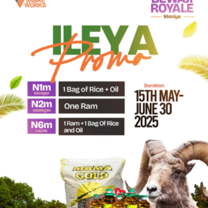 ILEYA PROMO